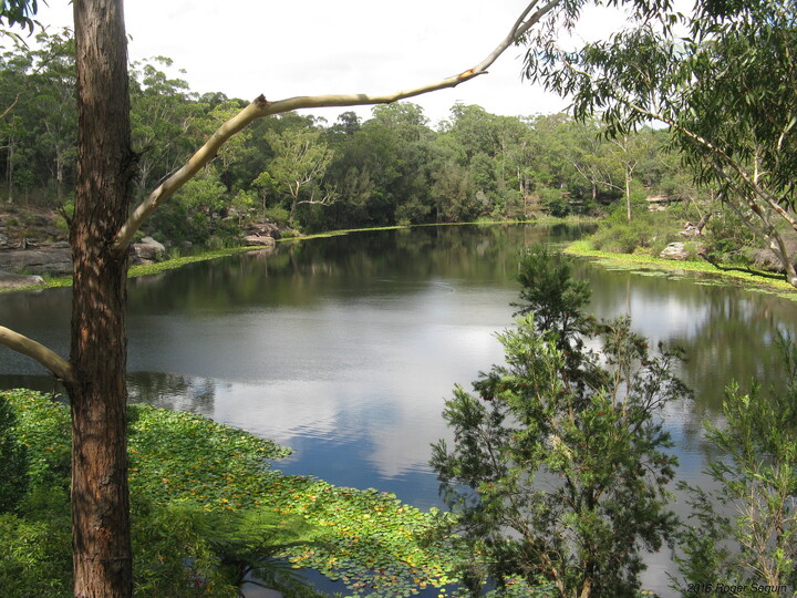 Lake Parramatta