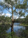 Lake Parramatta