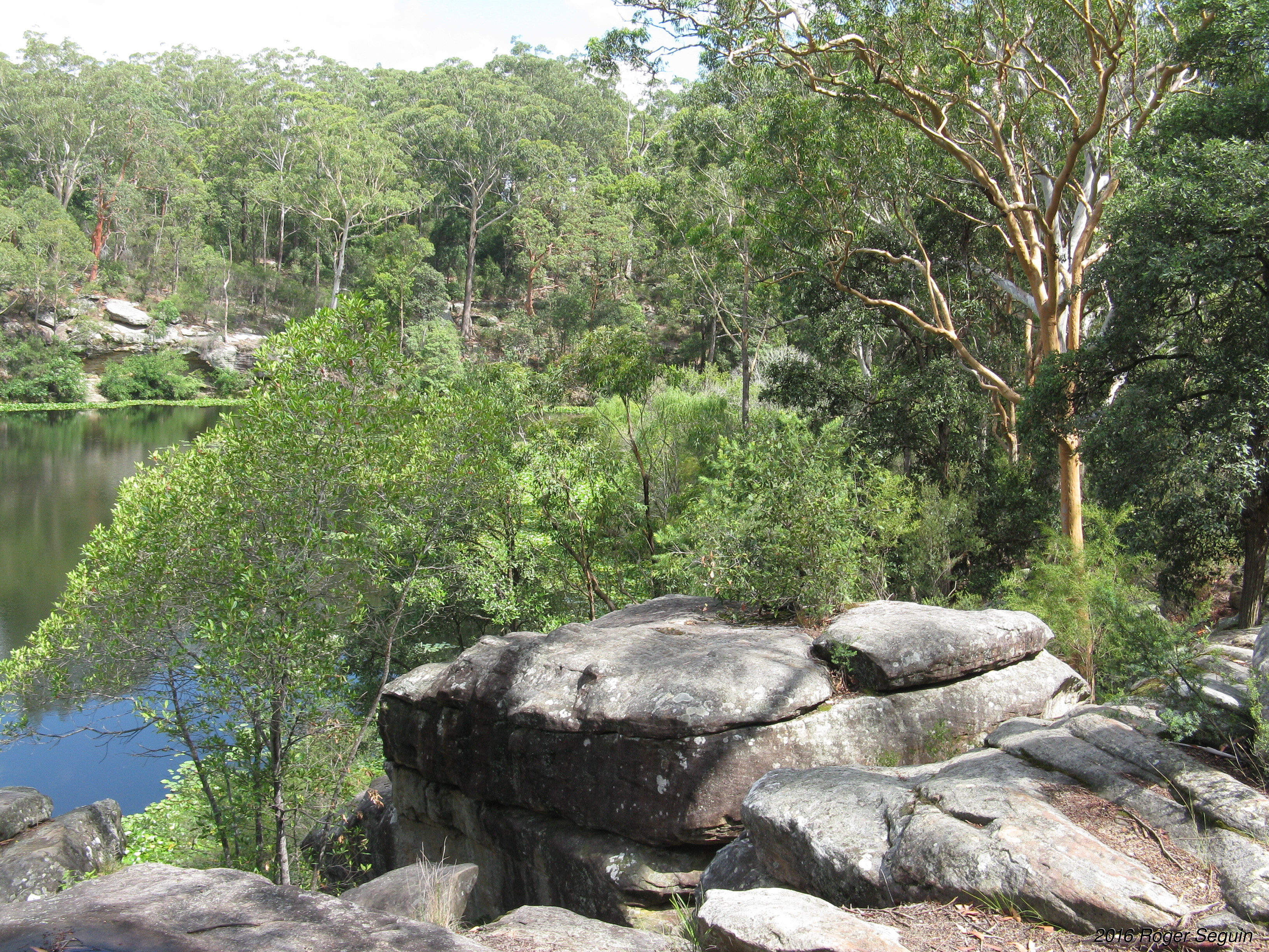 Lake Parramatta