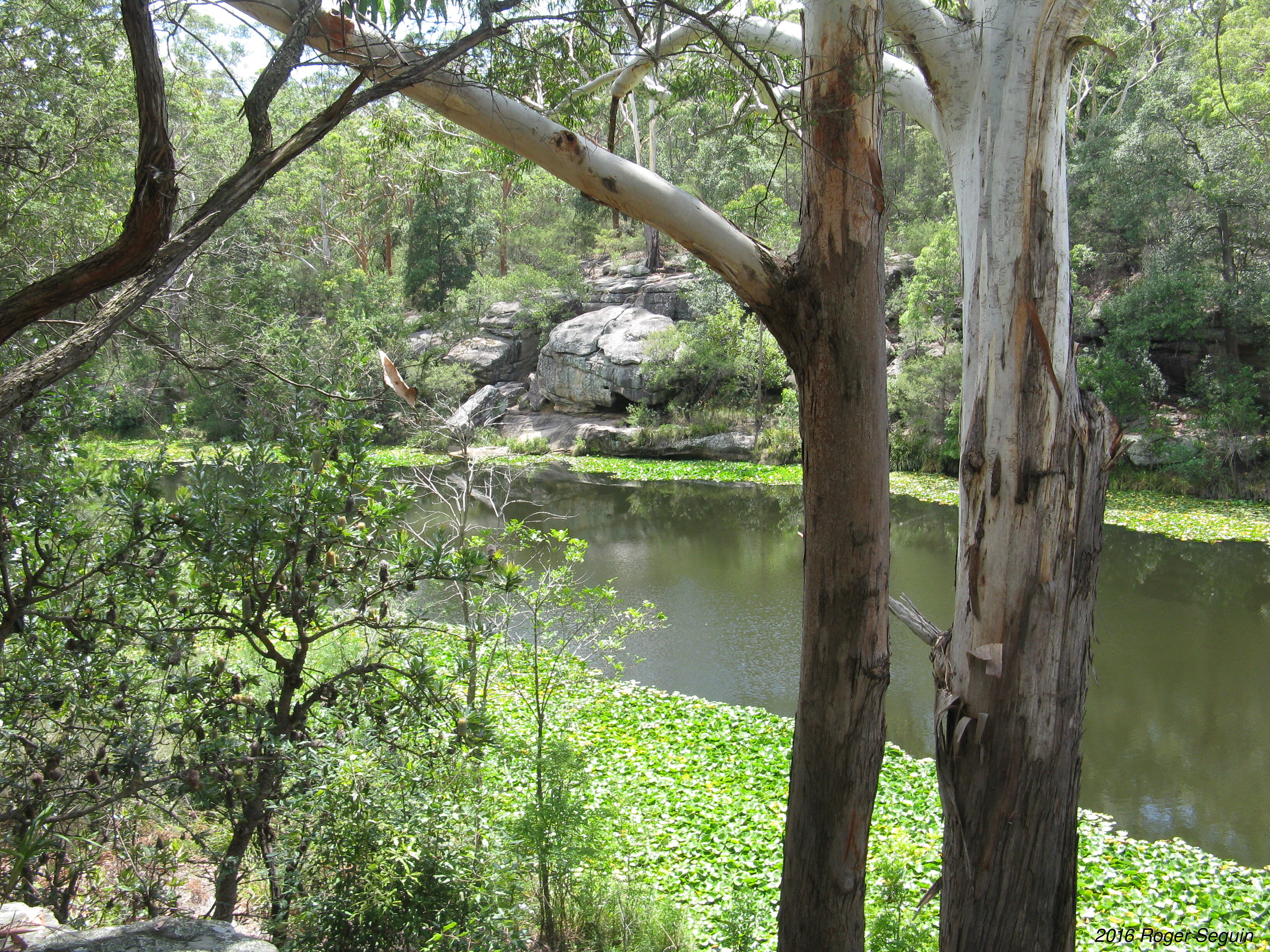 Lake Parramatta