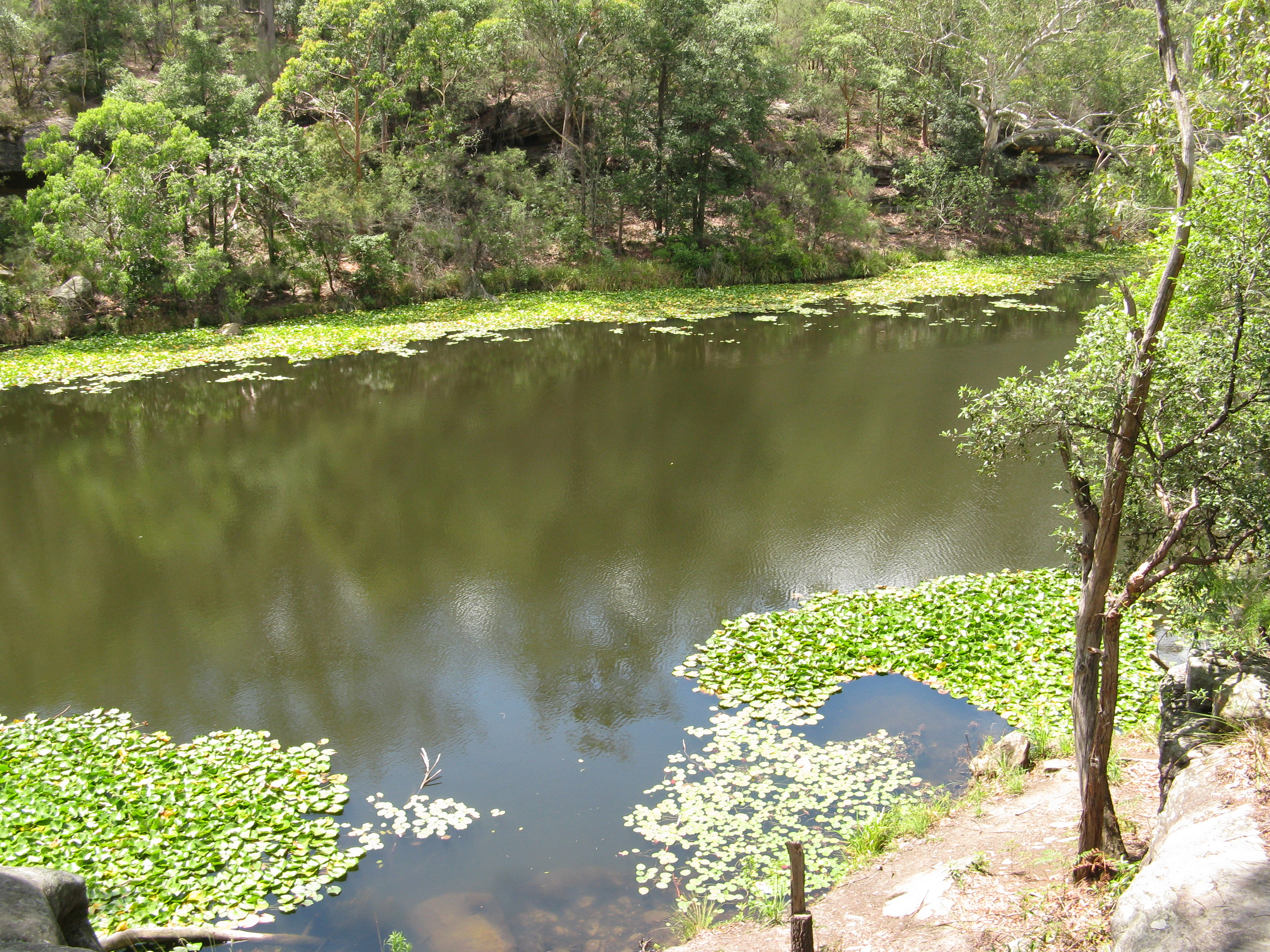 Lake Parramatta