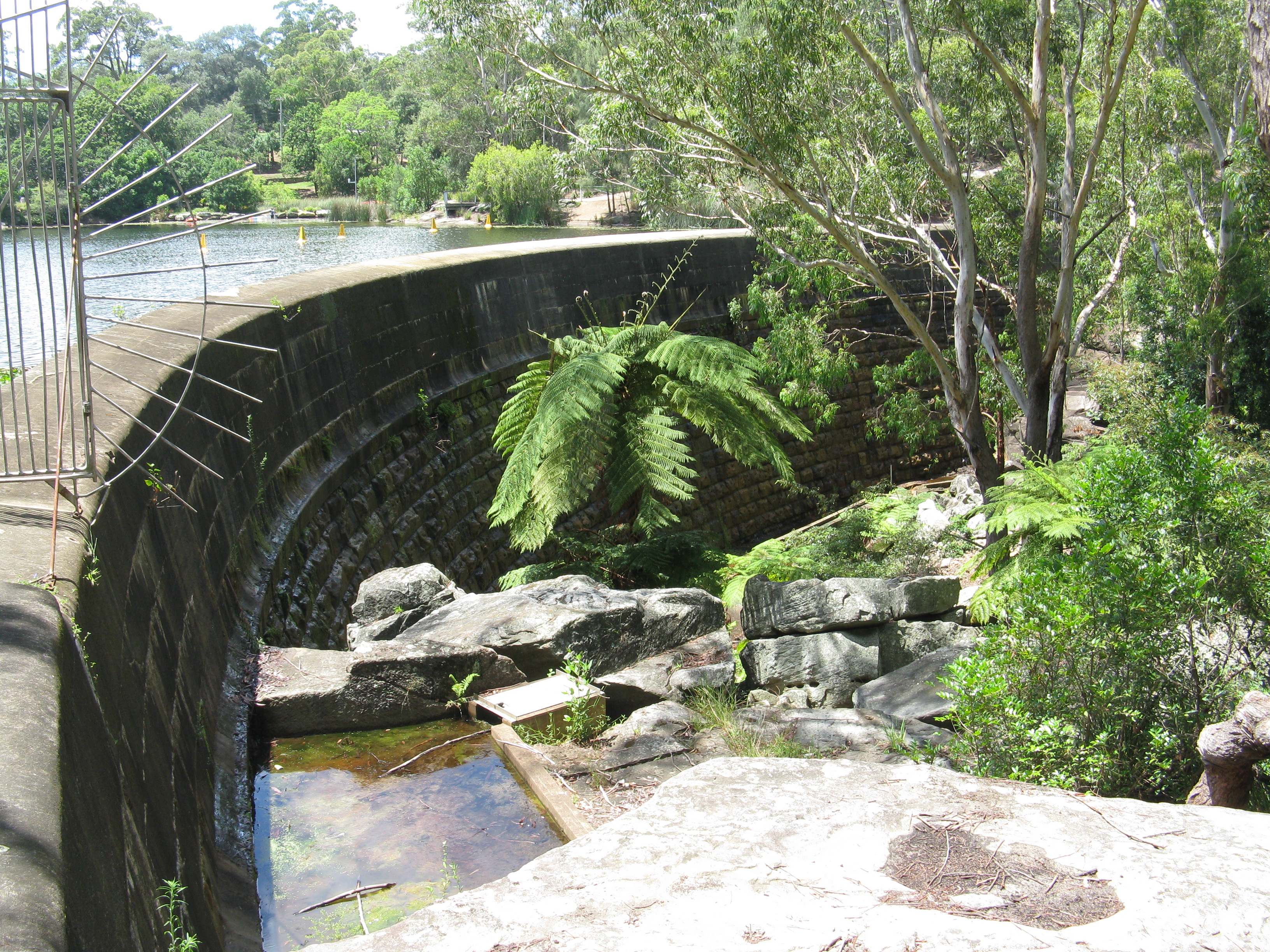 Lake Parramatta