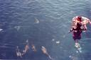 GreatBarrierReef