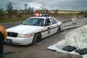 To protect and to serve... your tax money