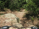 Cycling in Sydney